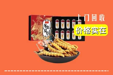 襄阳襄州区回收冬虫夏草